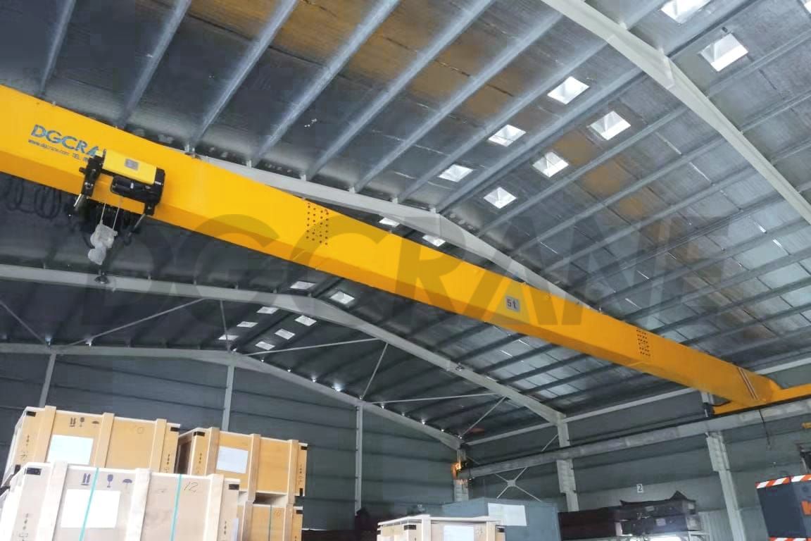 1 Ton FEMDIN Single Girder Overhead Crane