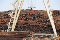 Gantry Crane for Timber Lifting 2