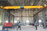 5Ton LDC type single girder overhead crane sa India 1